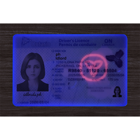 Ontario (ON) Fake ID (2025 version)