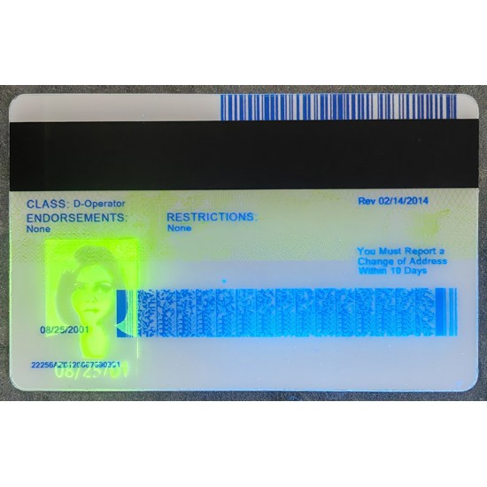 Arizona (AZ) Fake ID