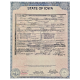 Fake Iowa Birth Certificate