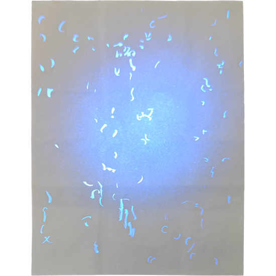 Fake Iowa Birth Certificate