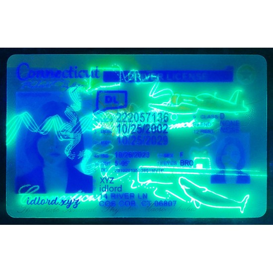 Connecticut (CT) Fake ID