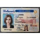 Delaware Fake id front side
