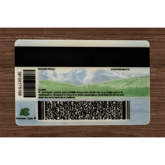 Colorado (CO) Fake ID