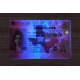 Texas (TX) Fake ID (2025 version)