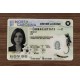 North Carolina (NC) Fake ID (2025 Version)