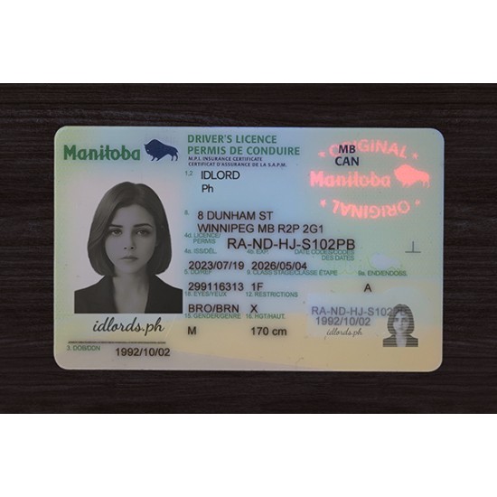 Manitoba (Man) Fake ID (2026 Version)