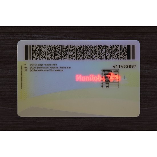 Manitoba (Man) Fake ID (2026 Version)