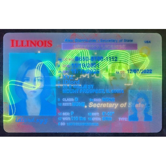 Illinois (IL) Fake ID