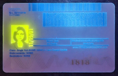 Illinois (IL) Fake ID