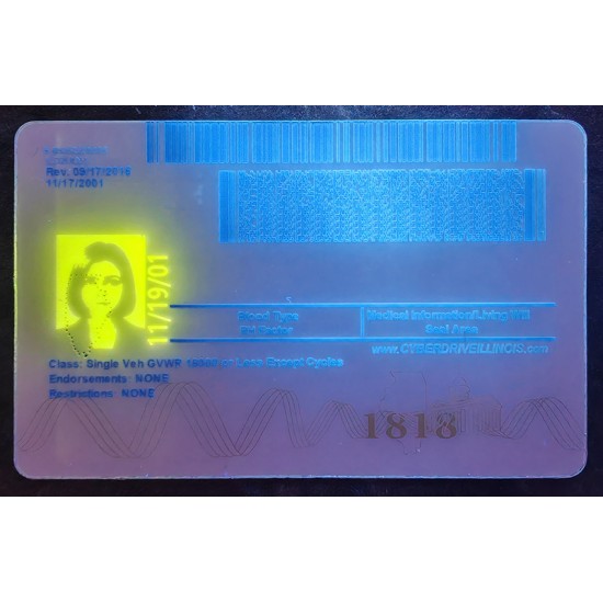 Illinois (IL) Fake ID
