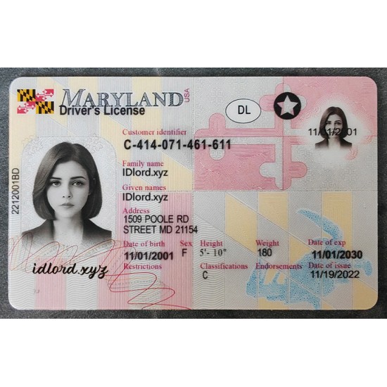 Maryland Fake id front side