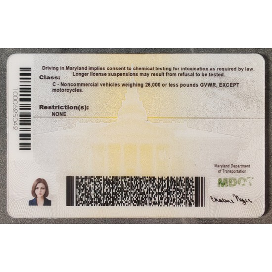 Maryland (MD) Fake ID