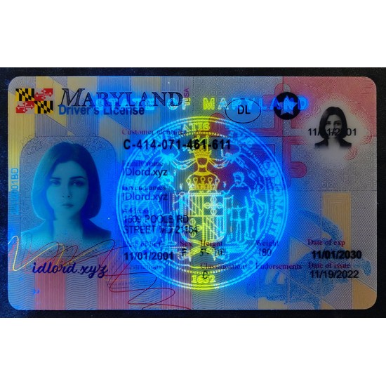 Maryland (MD) Fake ID