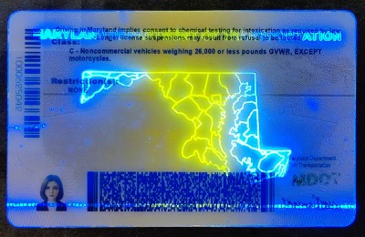 Maryland (MD) Fake ID
