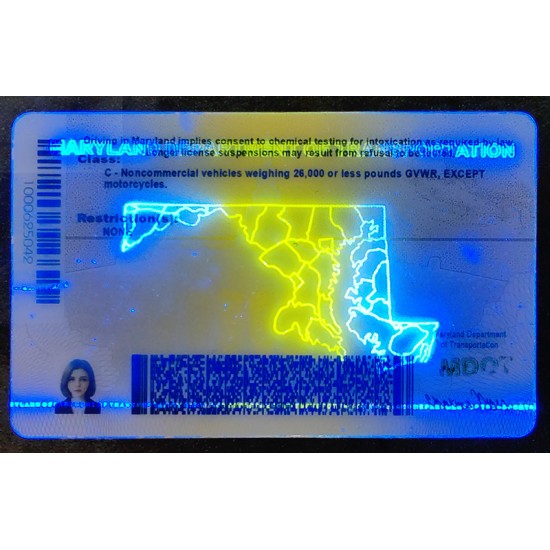 Maryland (MD) Fake ID