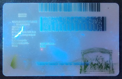 Massachusetts (MA) Fake ID