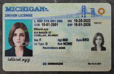 Michigan Fake id front side
