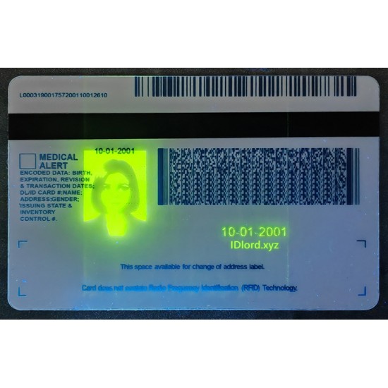 Michigan (MI) Fake ID