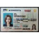 Minnesota Fake id front side