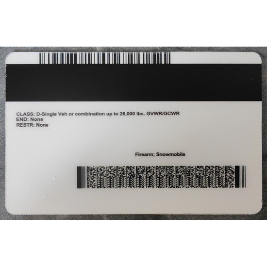 Minnesota (MN) Fake ID