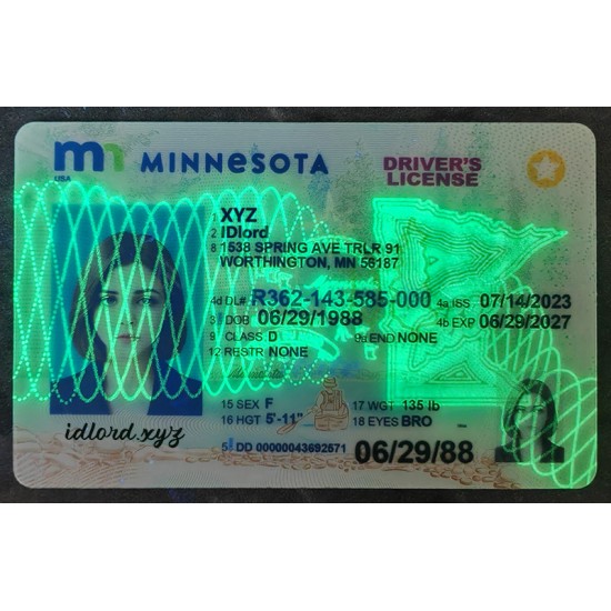 Minnesota (MN) Fake ID