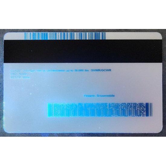 Minnesota (MN) Fake ID