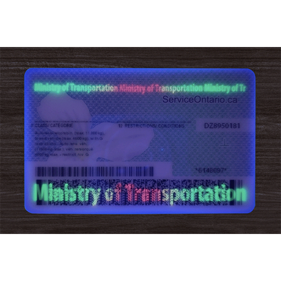 Ontario (ON) Fake ID (2025 version)