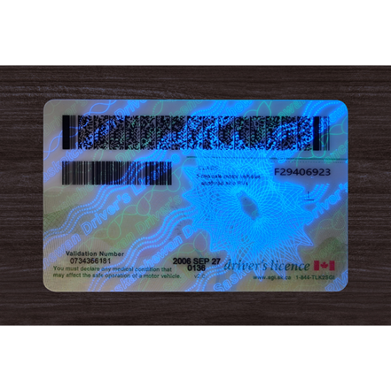 Saskatchewan (SK) Fake ID
